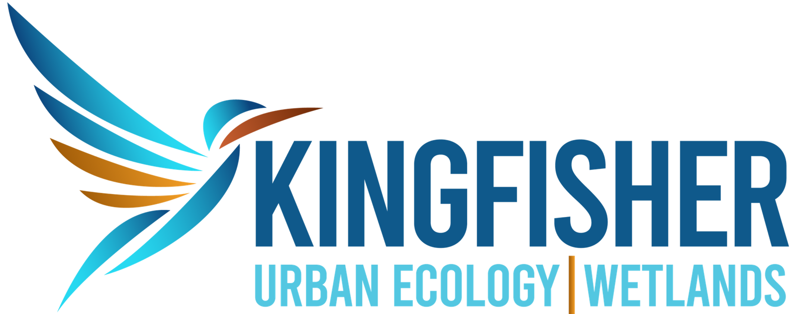 Kingfisher Urban Ecology and Wetlands